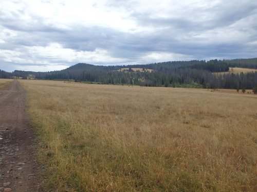 GDMBR: We're now riding National Forest public access roads across private property.